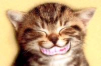 Grinningcat.jpg