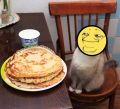 Cat juzz bliny yoba.jpg